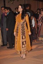 Dia Mirza at the Honey Bhagnani wedding reception on 28th Feb 2012 (251).JPG